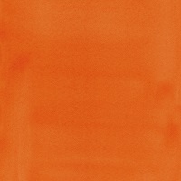 Bright Orange Liquitex Acrylic Ink 30ml